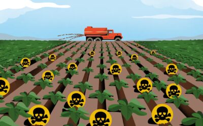 A cocktail of toxins is poisoning our fields. Its effect on humans? Nobody can tell us