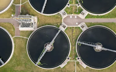 Fighting Dirty granted High Court hearing to challenge Environment Agency over axing of pledge to test sewage sludge