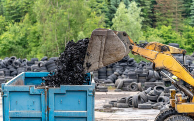 Major victory’ for campaigners as Environment Agency agrees to tackle UK tyre exports to India following threat of legal action